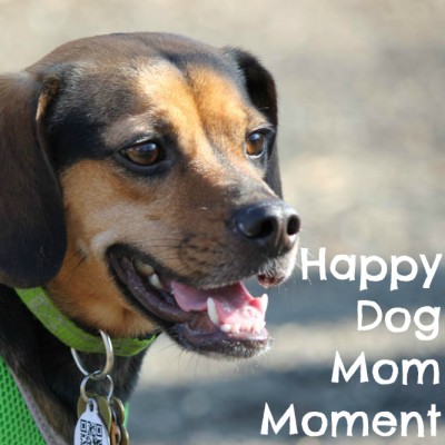 Happy Dog Mom Moment