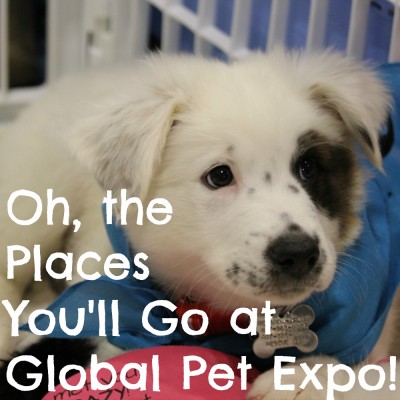 Oh, the Places You'll Go at Global Pet Expo!