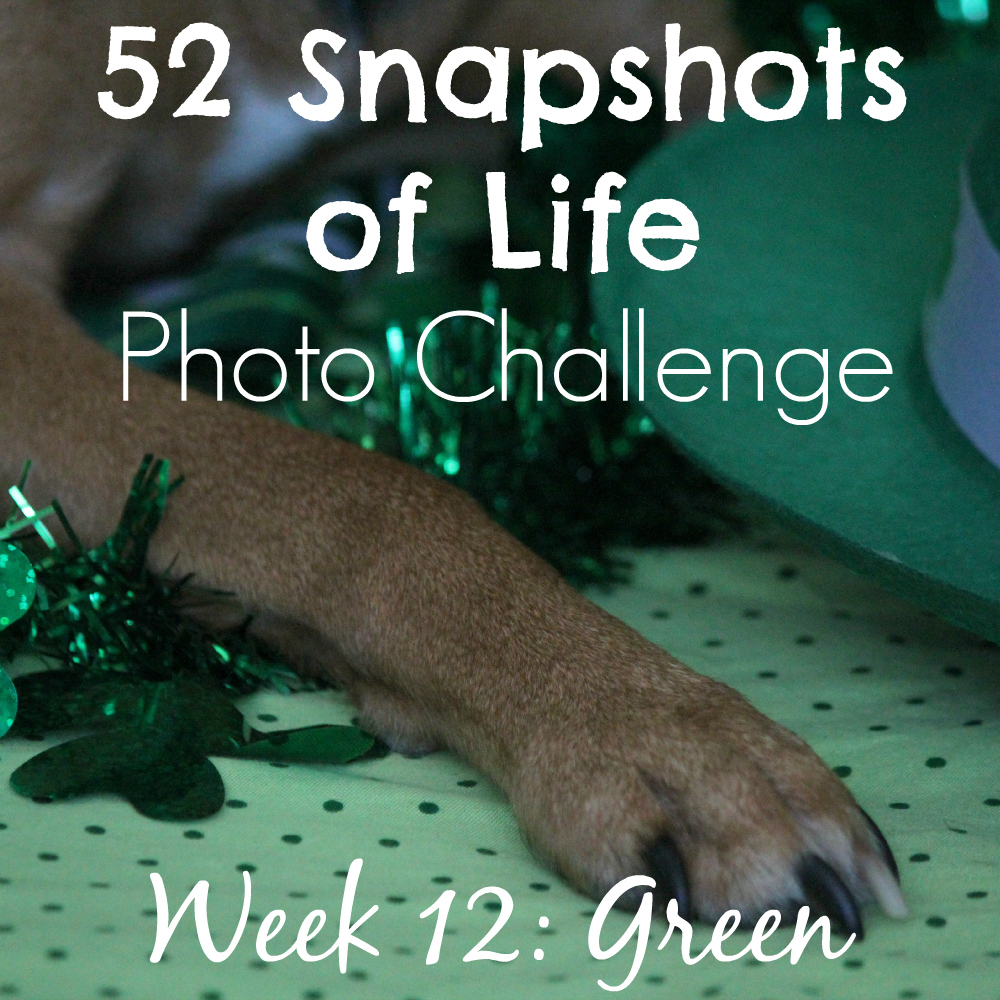 52 Snapshots of Life - Photo Challenge - Week 12: GREEN