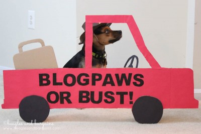 52 Snapshots of Life: TRAVEL - BlogPaws or Bust Photo Contest Entry