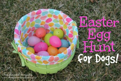 Easy Easter Egg Hunt for Dogs