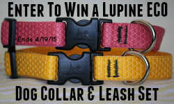 Enter to win a Lupine ECO Dog Collar and Leash. Ends 4/26/15