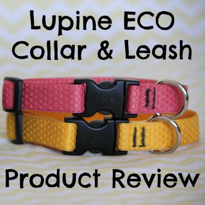 Lupine ECO Collar and Leash Product Review