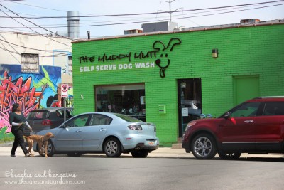 Dog wash store nearby Shirlington Dog Park