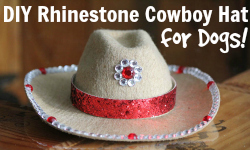 DIY Rhinestone Cowboy Hat for Dogs