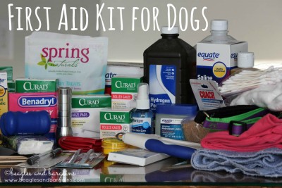 First Aid Kit for Dogs