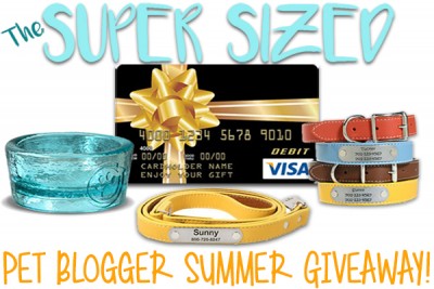The Super Sized Pet Blogger Summer Giveaway!