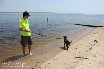 52 Snapshots of Life - My boyfriend and Luna at the beach