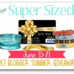 Summer is here and so is The Super Sized Pet Blogger Summer Giveaway!