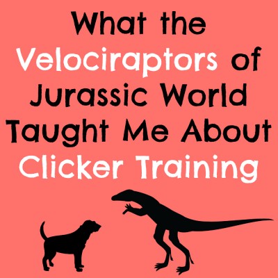 What the Velociraptors of Jurassic World Taught Me About Clicker Training