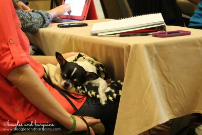 We spied on some fellow bloggers like Wynston from Dog Mom Days during helpful sessions.