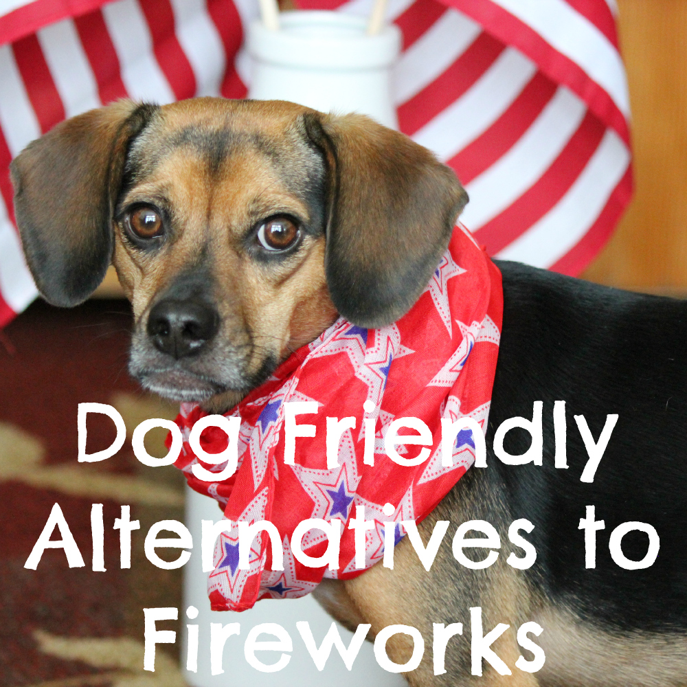 5 Dog Friendly Alternatives to Fireworks this Fourth of July