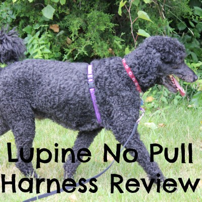 Lupine No Pull Harness Review