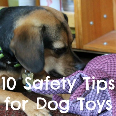 52 Snapshots of Life Photo Challenge - Week 23: PLAY - 10 Safety Tips for Dog Toys