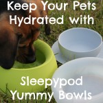 Keep Your Pets Hydrated with Sleepypod Yummy Travel Bowls