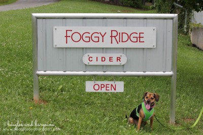 Luna visits Foggy Ridge Cidery
