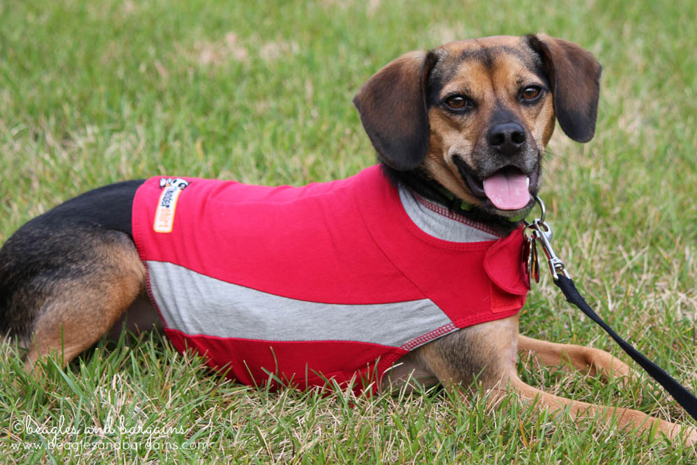 Luna in her Red Polo Thundershirt