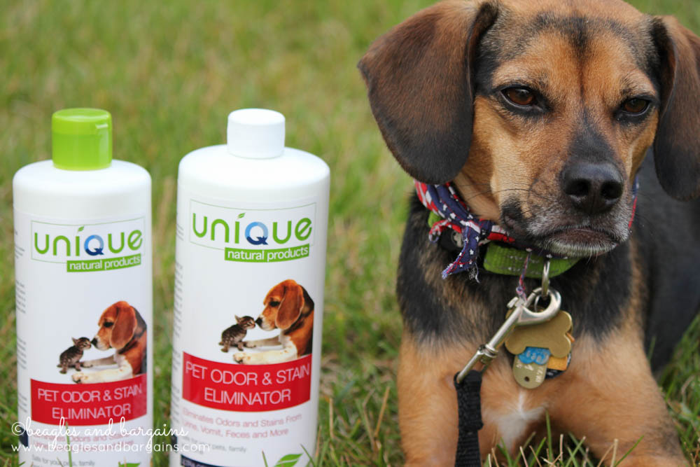 Luna with our samples of Unique Natural Products Pet Odor & Stain Remover