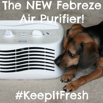 The NEW Febreze Air Purifier! #KeepItFresh