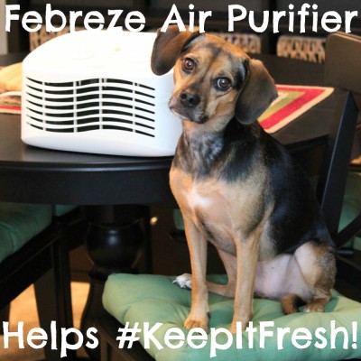 Febreze Air Purifier Helps #KeepItFresh