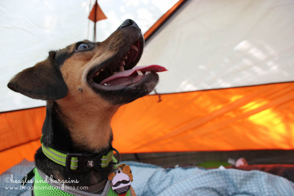 8 Photos of Happiness - Camping (and the Great Outdoors)