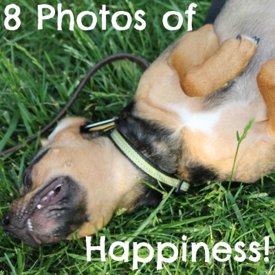 8 Photos of Happiness!