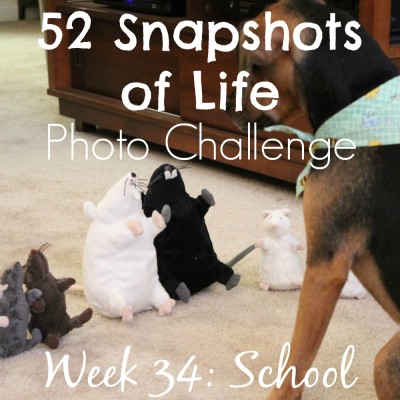 52 Snapshots of Life - Week 34 - School - Back to School at Luna's Academy