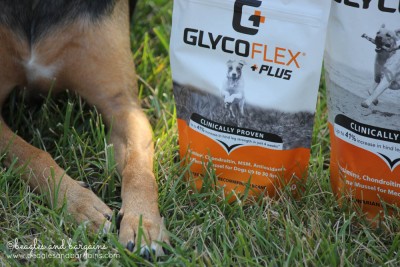Luna tries Glyco Flex Plus to keep her joints healthy