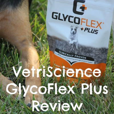 VetriScience Glyco Flex Plus Review