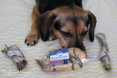 Luna checks out the new Barkworthies Australian Gourmet Chews