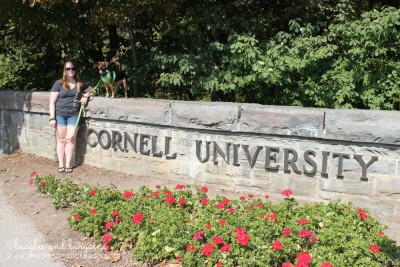 Luna visits Cornell University with me