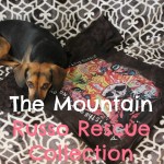 Building My Dog T-shirt Collection While Helping Shelter Pets #MountainArtwear