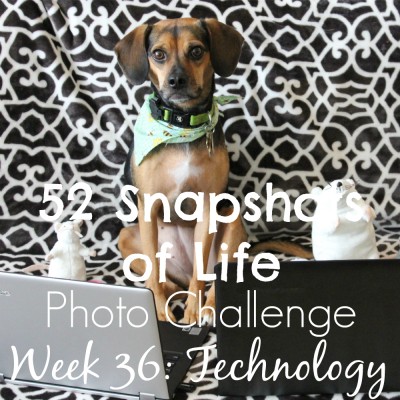 52 Snapshots of Life - Week 36 - Technology - Enroll in Pet Technology 101 at Luna's Academy