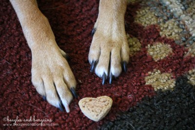 Luna's little feet with a heart shaped treat