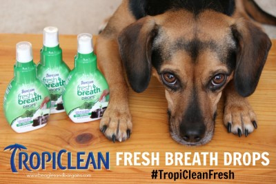 TropiClean Fresh Breath Drops #TropiCleanFresh