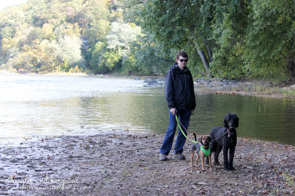 Struan, Luna, and Cousin Keto down by the Potomac River.