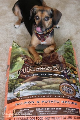 Luna thinks Pinnacle Grain Free Dog Food is yummy!