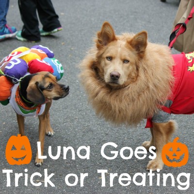 Luna Goes Trick or Treating