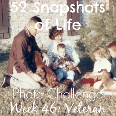 52 Snapshots of Life - Week 46 - Veteran - A Dog Loving Veteran