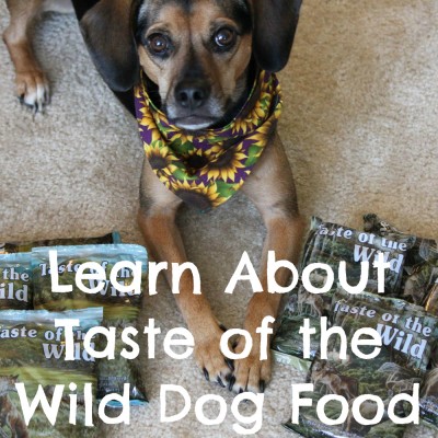 Learn About Taste of the Wild Dog Food