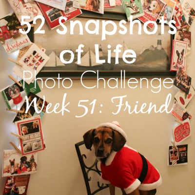 52 Snapshots of Life - Week 51 - Friend - Merry Christmas, Friend