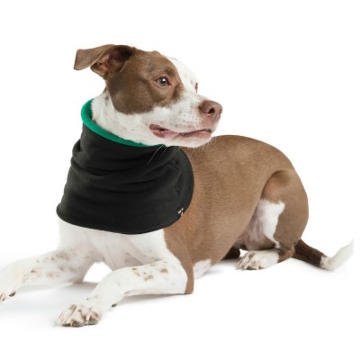 Gold Paw Series Snood - Beagles & Bargains Holiday Guide 2015