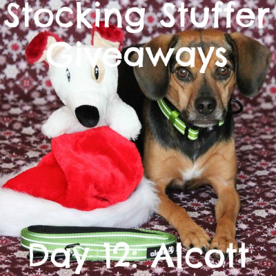 Beagles & Bargains Stocking Stuffer Giveaways 2015 - Day 12 - Alcott Adventure Collar & Leash Set