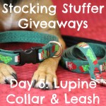Stocking Stuffer Giveaway Day 5: Lupine Pet Collar & Leash Set