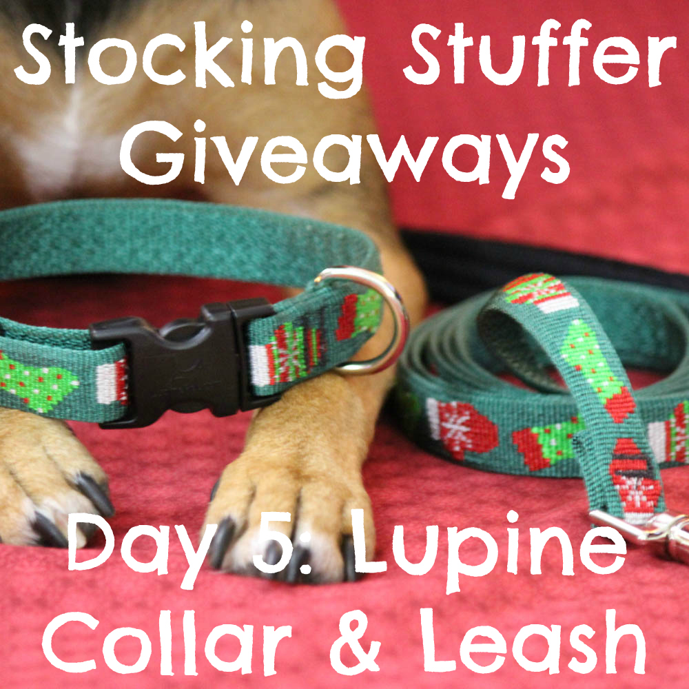 Beagles & Bargains Stocking Stuffer Giveaways 2015 - Day 5 - Lupine Collar & Leash Set