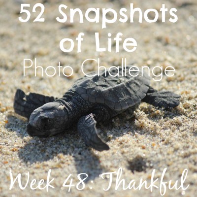 52 Snapshots of Life - Week 48 - Thankful - Thankful for a Vacation!