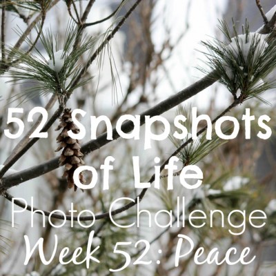 52 Snapshots of Life - Week 52 - PEACE - Wishing You Happiness and Peace in 2016!