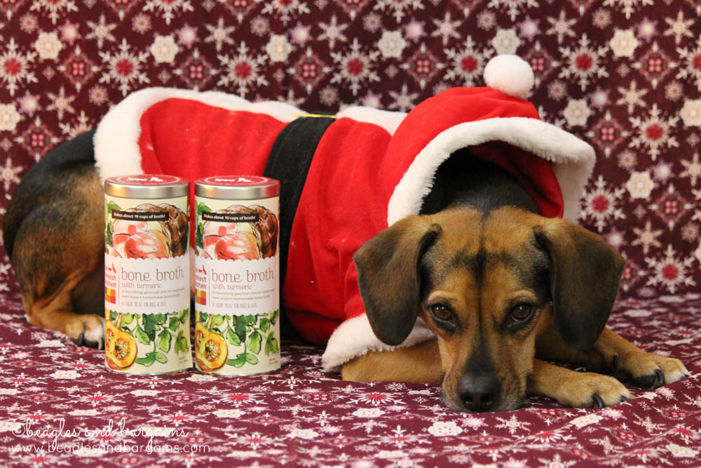 Luna with the Bone Broth from The Honest Kitchen