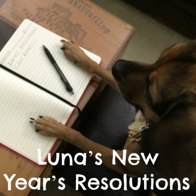 Luna’s New Year’s Resolutions 2016