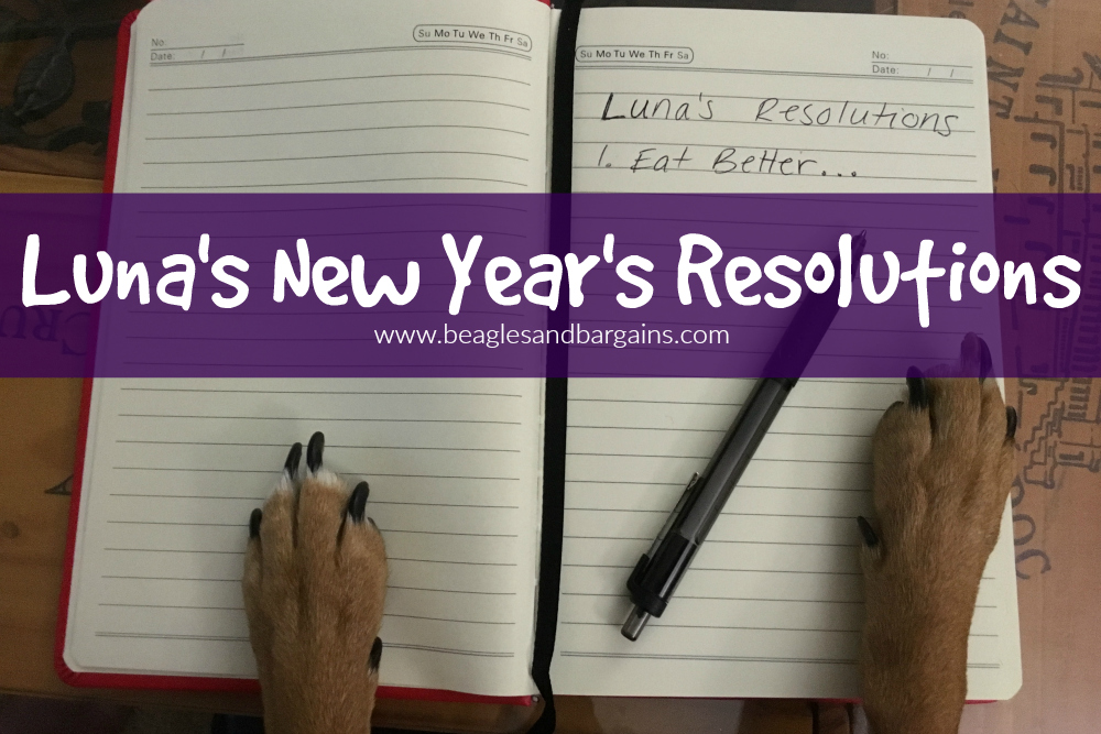 Luna's New Year's Resolutions 2016